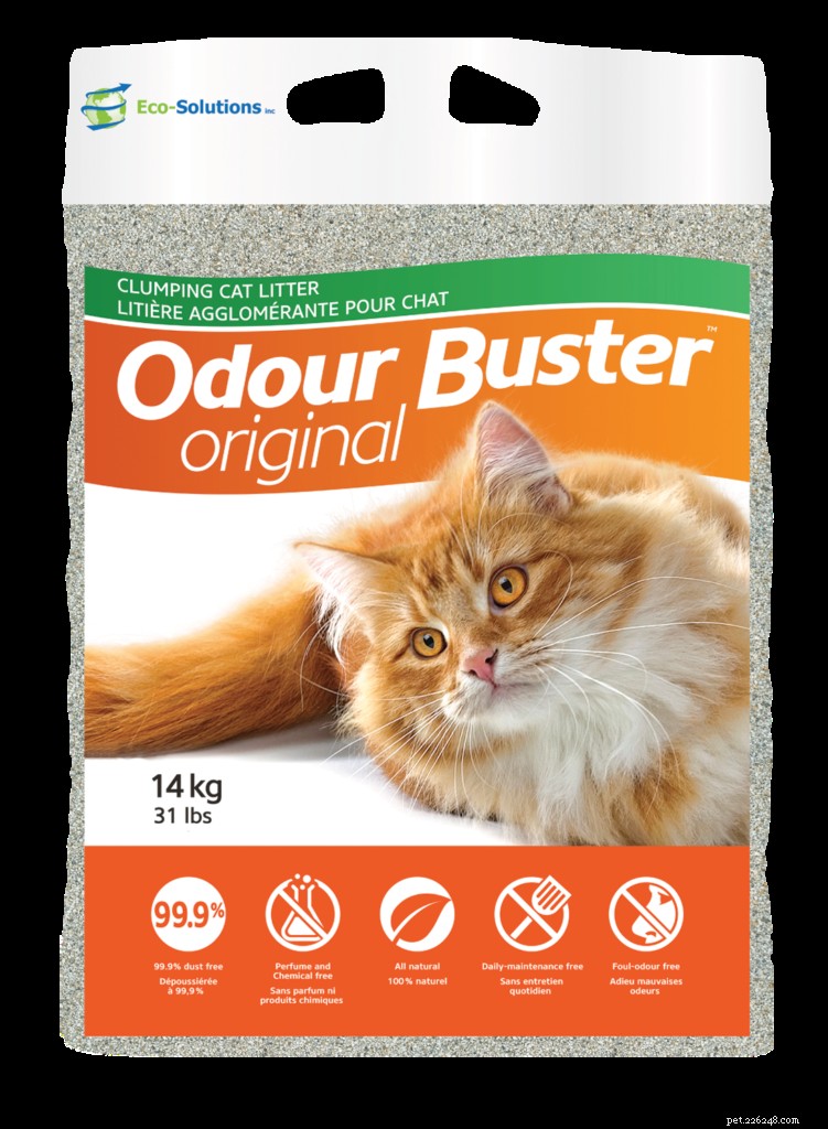 Top Cat Litter Picks of 2021: Clean, Odor‑Control & Cat‑Friendly Solutions