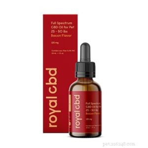 Top CBD Oil for Anxious Cats – Expert Reviews & 2021 Recommendations