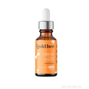 Top CBD Oil for Anxious Cats – Expert Reviews & 2021 Recommendations