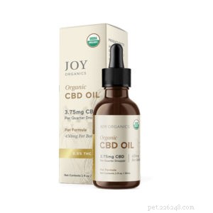 Top CBD Oil for Anxious Cats – Expert Reviews & 2021 Recommendations