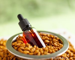 Top CBD Oil for Anxious Cats – Expert Reviews & 2021 Recommendations