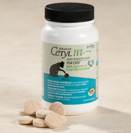 Advanced Cetyl M® Joint Action Formula for Cats – Award-Winning Pain Relief
