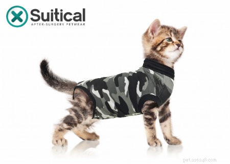 Discover the Recovery Suit: A Stress‑Free Alternative to the Traditional Cone