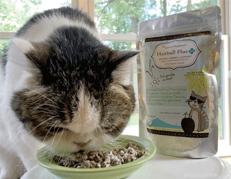 CocoTherapy CAT HAIRBALL PLUS™ – Pure Organic Coconut for Natural Hairball Relief