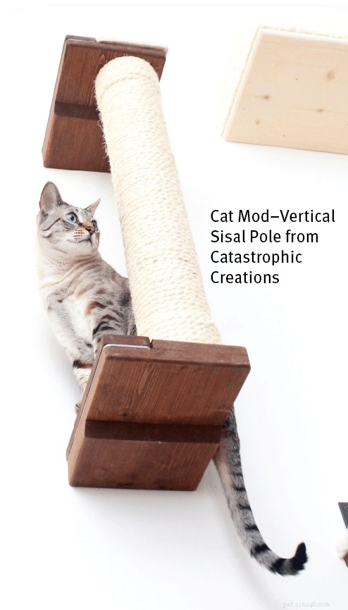 Jackson Galaxy’s 4 Proven Keys to Successful Cat Scratching