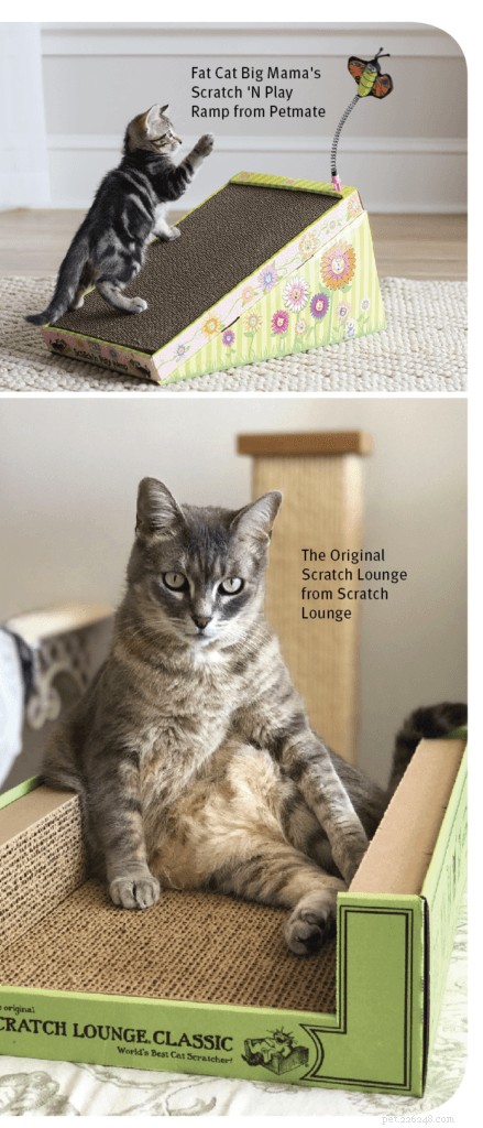 Jackson Galaxy’s 4 Proven Keys to Successful Cat Scratching