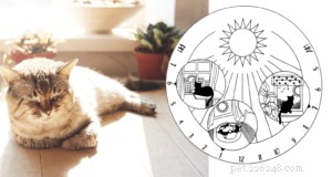 Jackson Galaxy’s 4 Proven Keys to Successful Cat Scratching