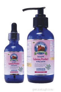 Using CBD Oil to Support Cat Health and Comfort