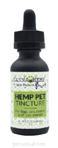 Using CBD Oil to Support Cat Health and Comfort