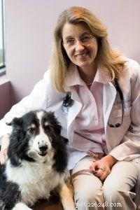True Leaf Launches Innovative Cannabis-Based Pet Wellness Solutions
