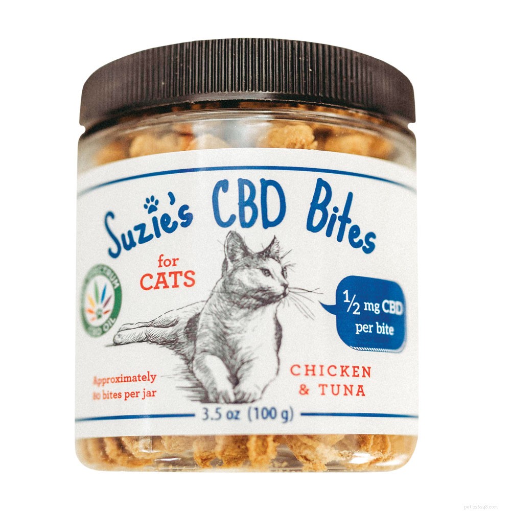 Is CBD Oil Safe and Effective for Your Cat? Find Out