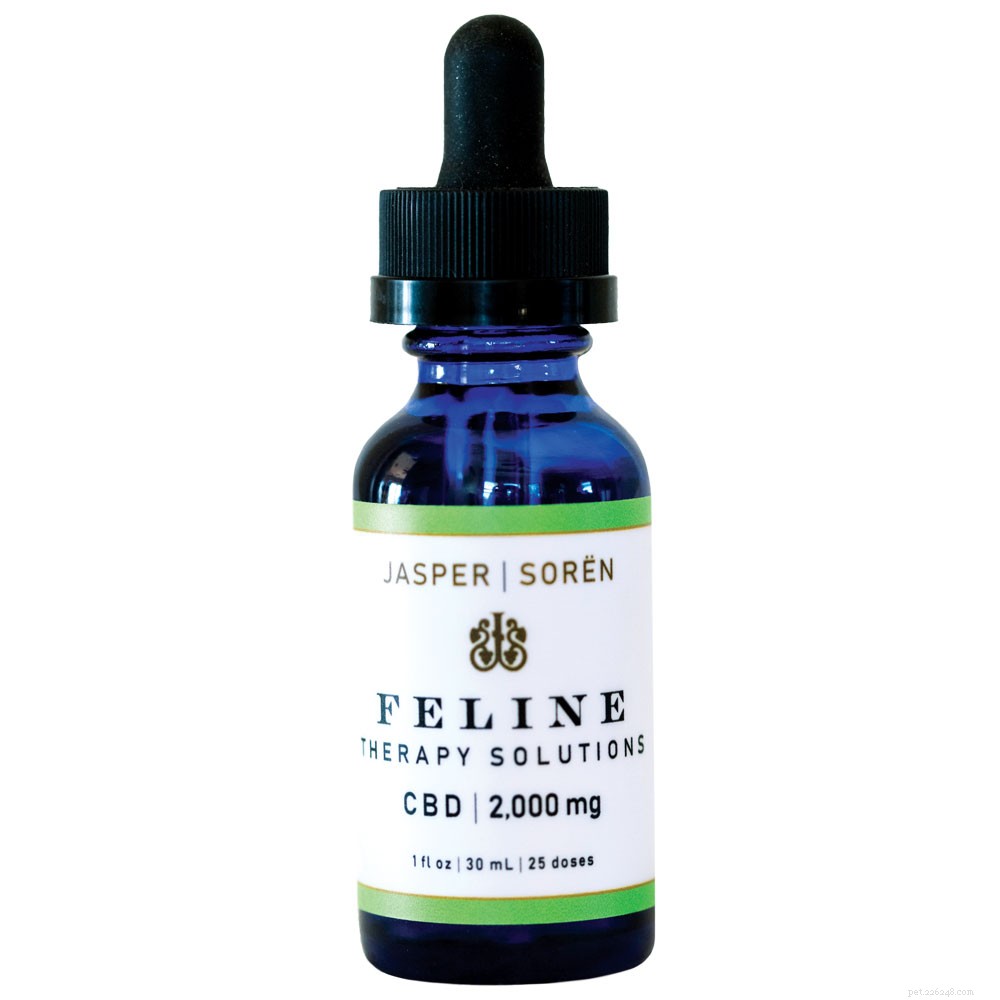 Is CBD Oil Safe and Effective for Your Cat? Find Out