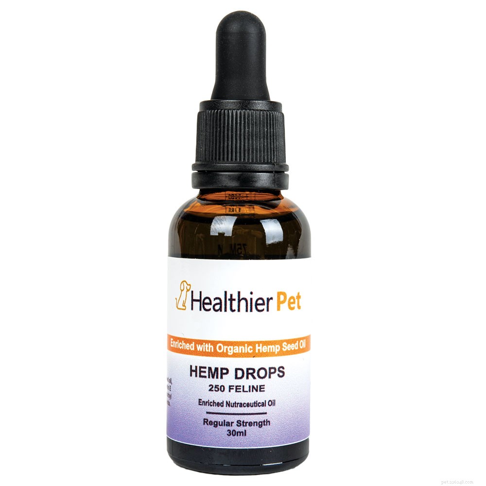 Is CBD Oil Safe and Effective for Your Cat? Find Out
