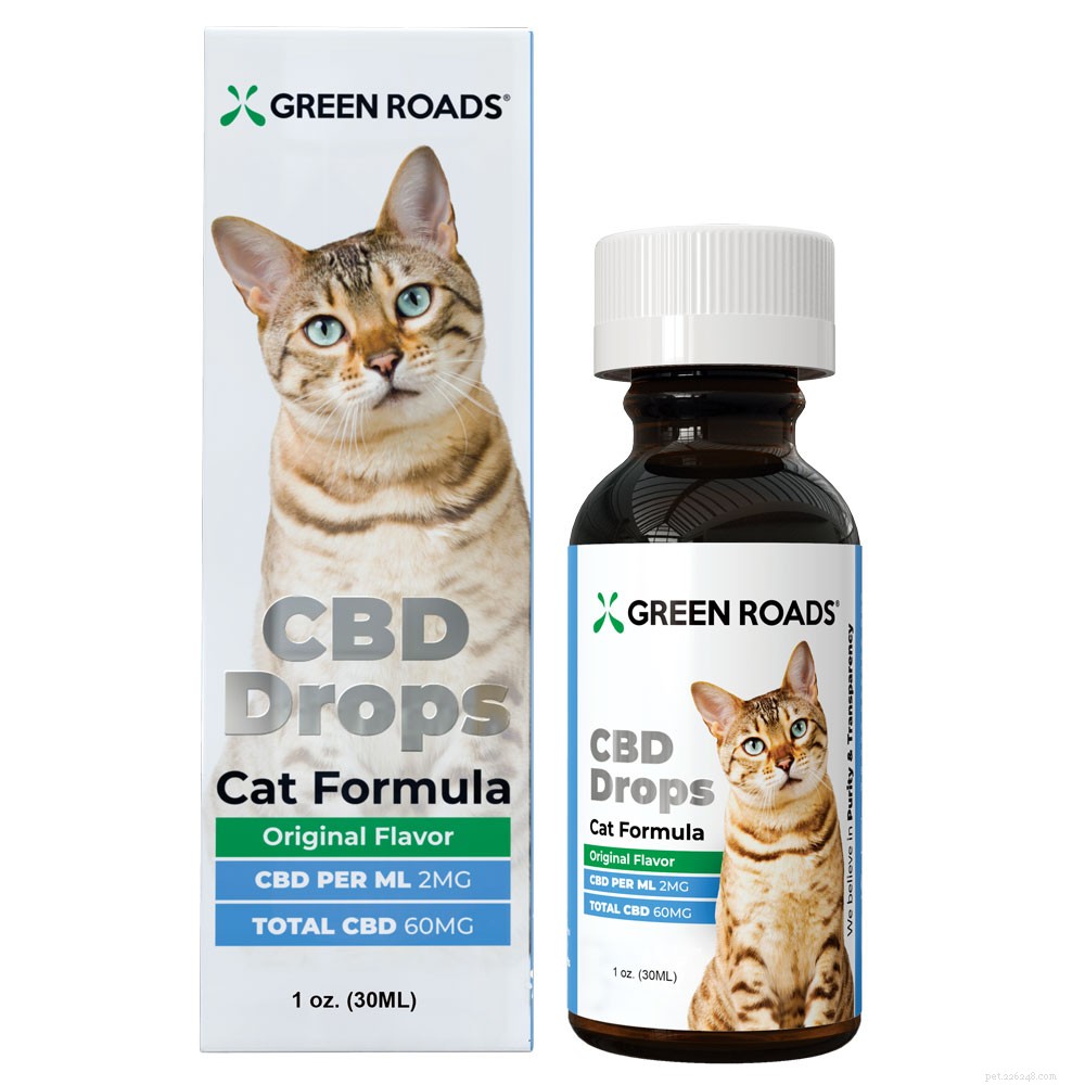 Is CBD Oil Safe and Effective for Your Cat? Find Out