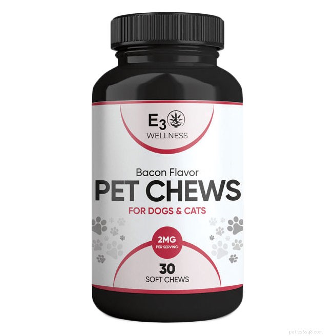 How CBD Can Support Your Cat’s Health and Well-Being