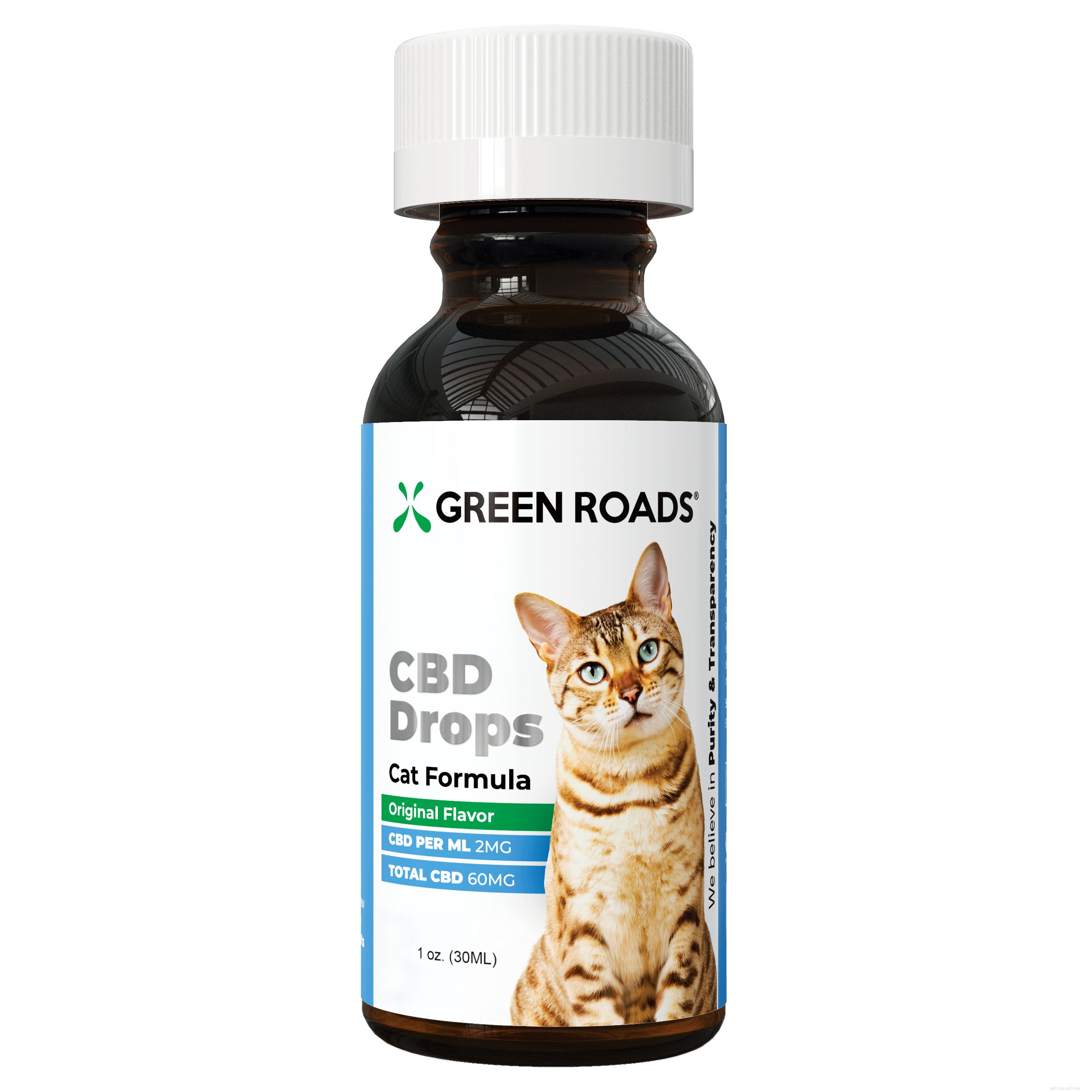 How CBD Can Support Your Cat’s Health and Well-Being