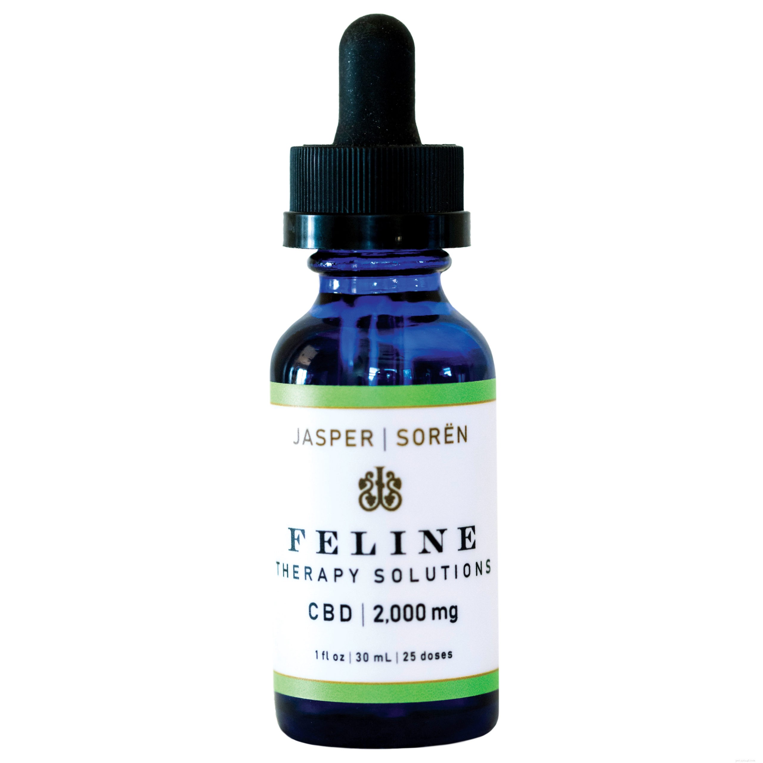 How CBD Can Support Your Cat’s Health and Well-Being