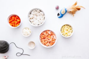 Pumpkin: The Natural Solution for Your Cat s Digestive Issues