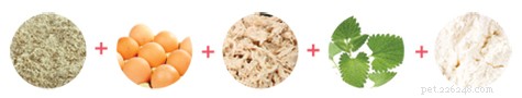 DIY Organic Cat Treats: Homemade, Preservative-Free Recipes