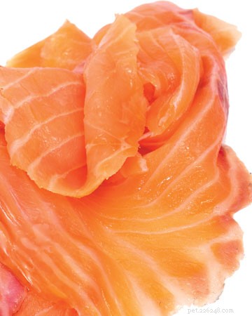 11 Human Foods Cats Can Safely Enjoy