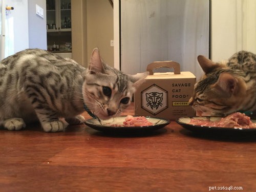 Savage Cat Food: Premium Raw, Grain‑Free Nutrition for Healthy, Long‑Lasting Cats