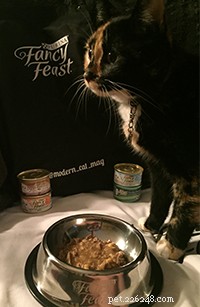 Modern Cat Introduces Fancy Feast: Premium Nutrition for Your Cat