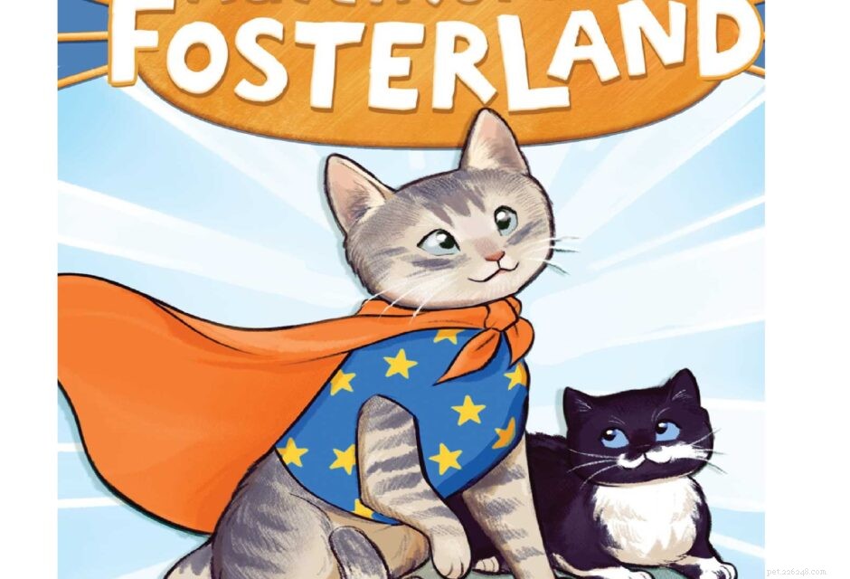 9 Unmistakable Signs Your Cat Loves You