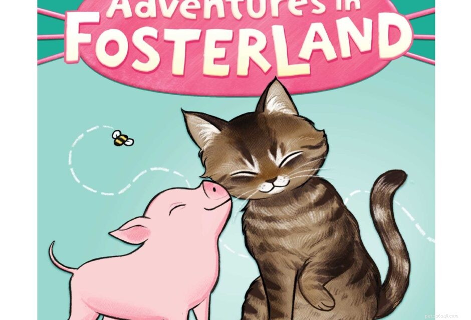 9 Unmistakable Signs Your Cat Loves You