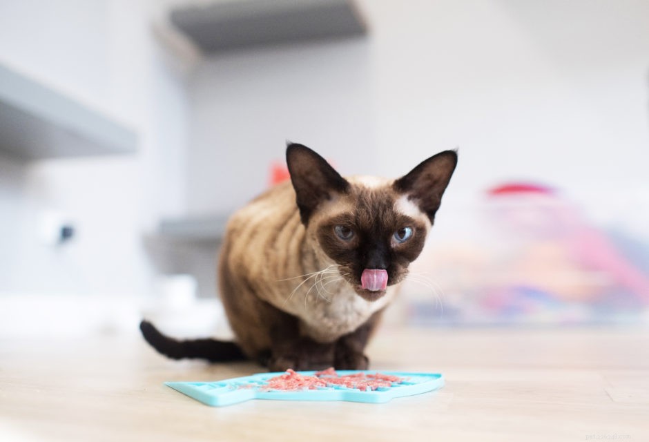 9 Unmistakable Signs Your Cat Loves You