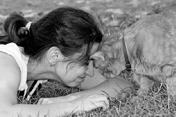 The Science Behind Cats’ Startle Response to Cucumbers