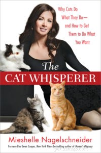Essential Litter Box Placement: Avoid Common Owner Mistakes