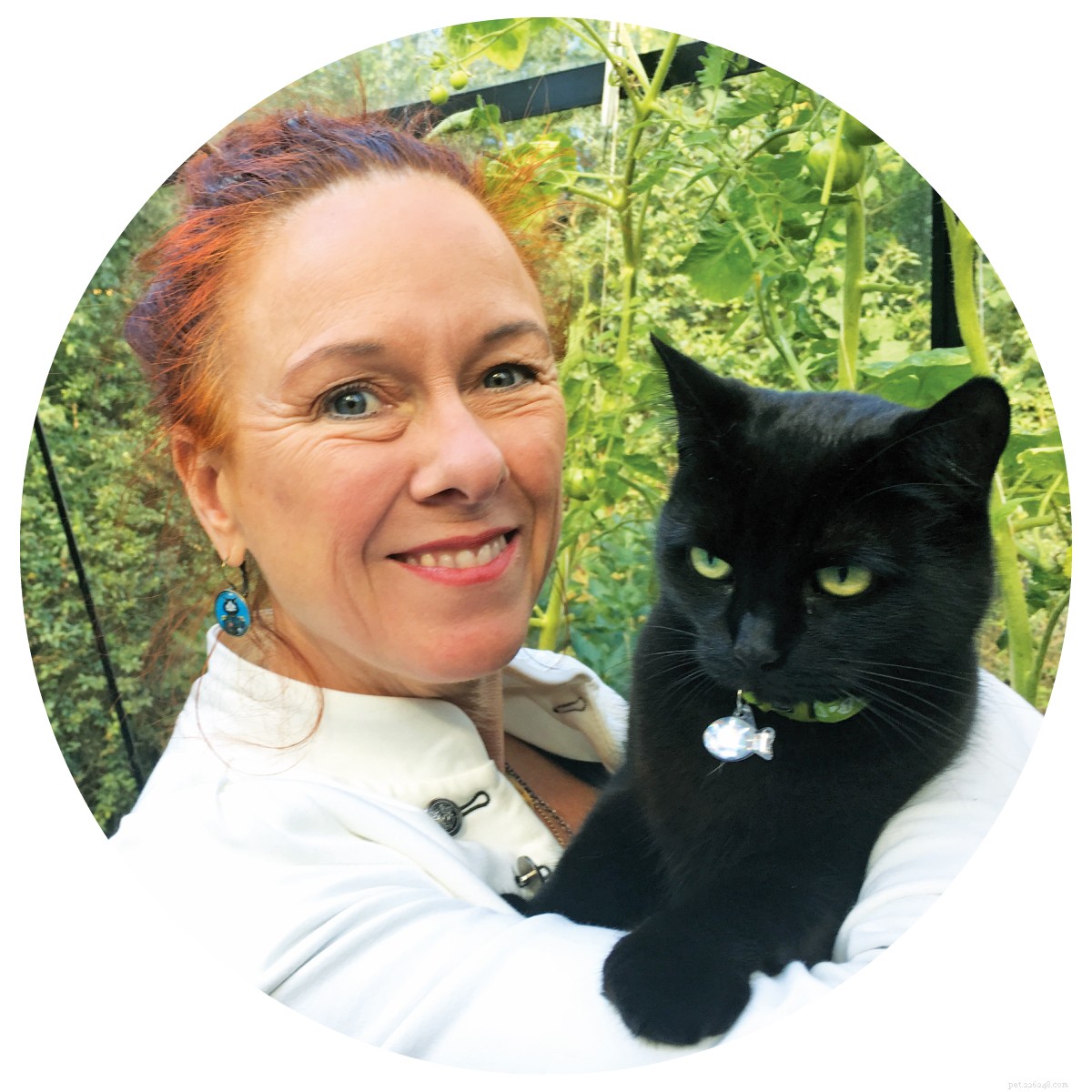Decoding Cat Communication: Mastering Your Feline’s Language