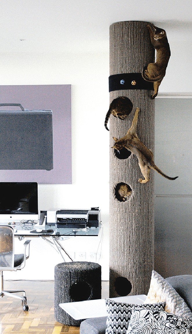 9 Proven Strategies to Enrich Your Cat’s Living Space