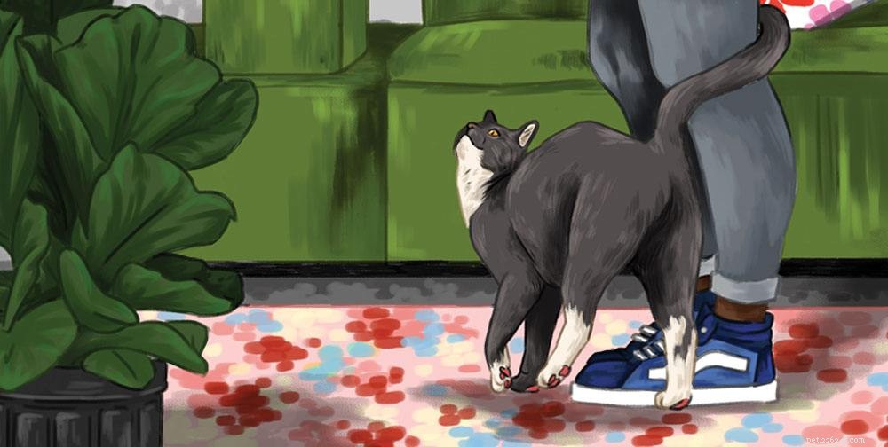 Discover the Strength of Your Bond With Your Cat – Take the Quiz