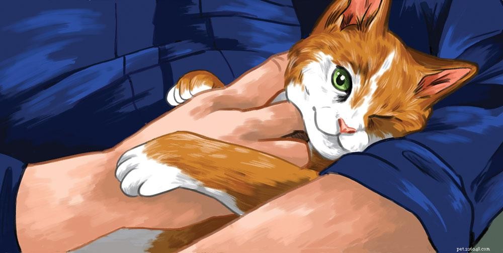 Discover the Strength of Your Bond With Your Cat – Take the Quiz