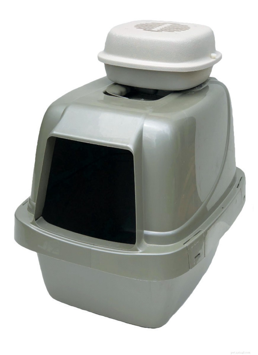 Understanding the Strong Odor of Cat Urine and How to Reduce It