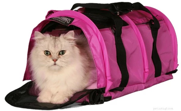 6 Expert Tips for Stress‑Free Cat Transport in a Carrier