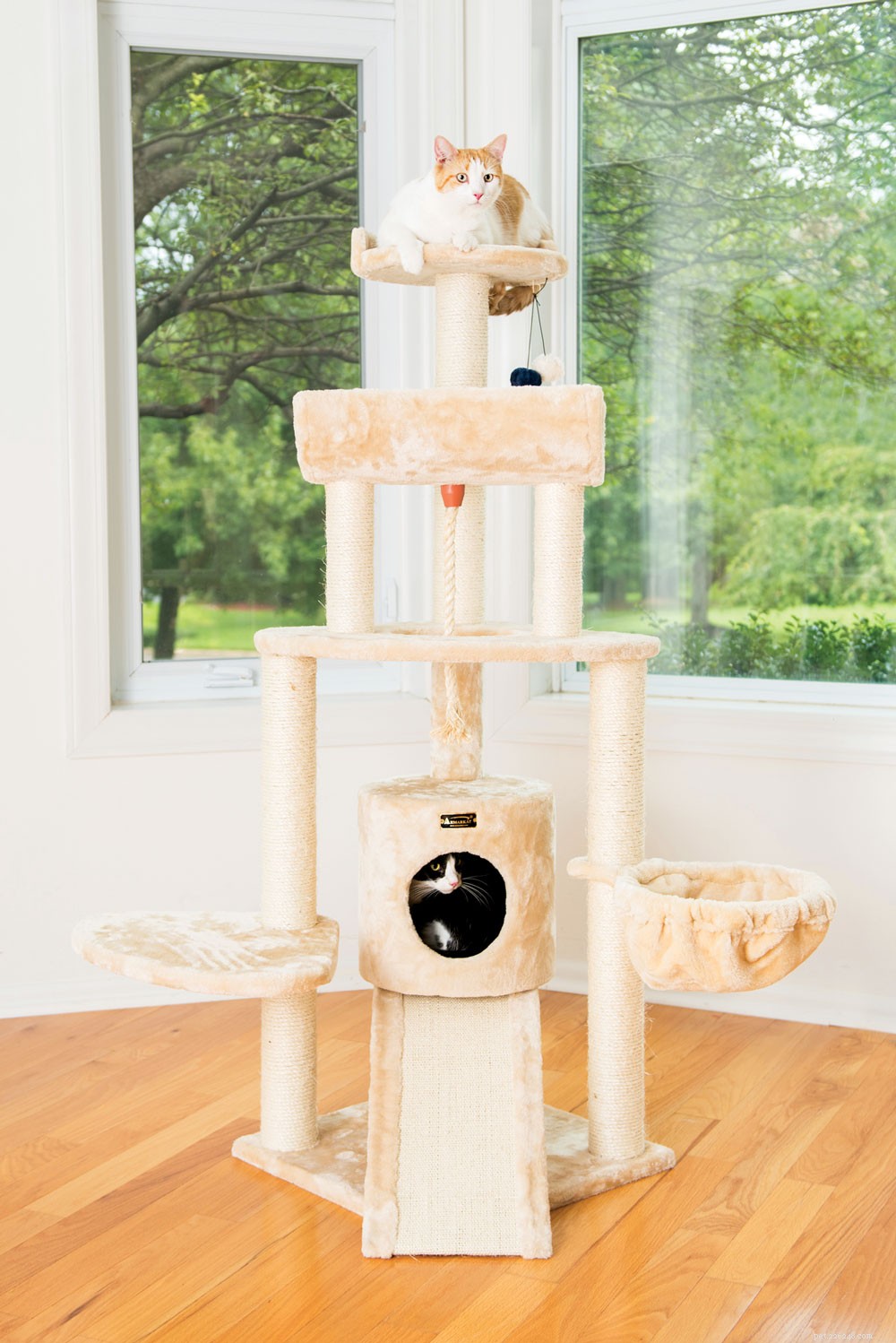 Unlock Your Cat s Instincts: The Ultimate Guide to Vertical Space and Natural Behaviors