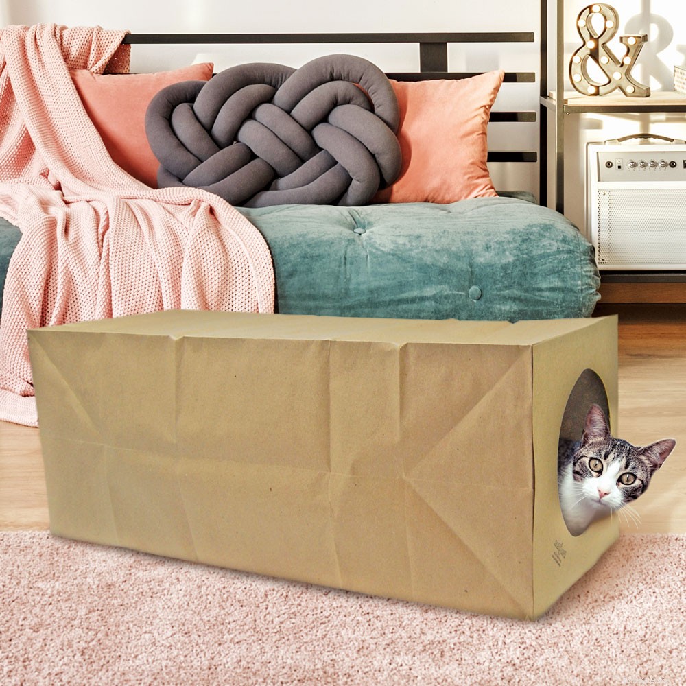 Unlock Your Cat s Instincts: The Ultimate Guide to Vertical Space and Natural Behaviors