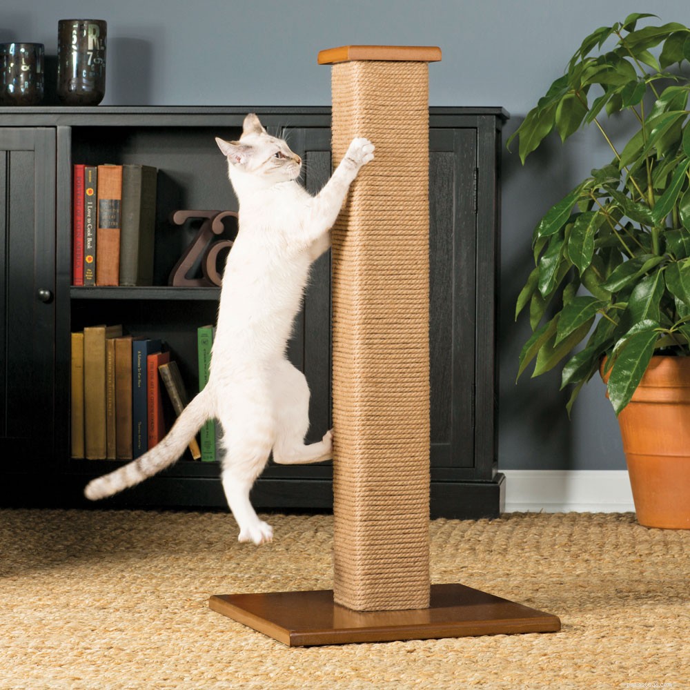 Unlock Your Cat s Instincts: The Ultimate Guide to Vertical Space and Natural Behaviors