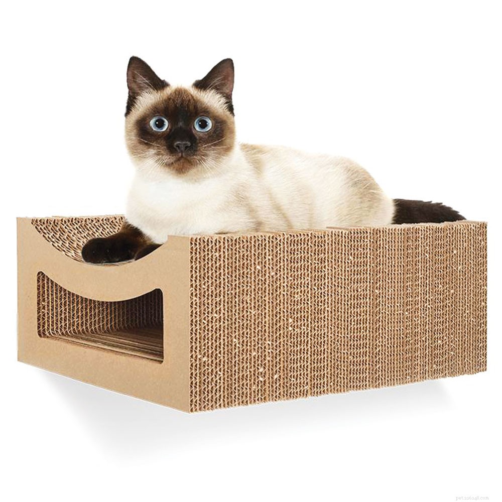 Unlock Your Cat s Instincts: The Ultimate Guide to Vertical Space and Natural Behaviors