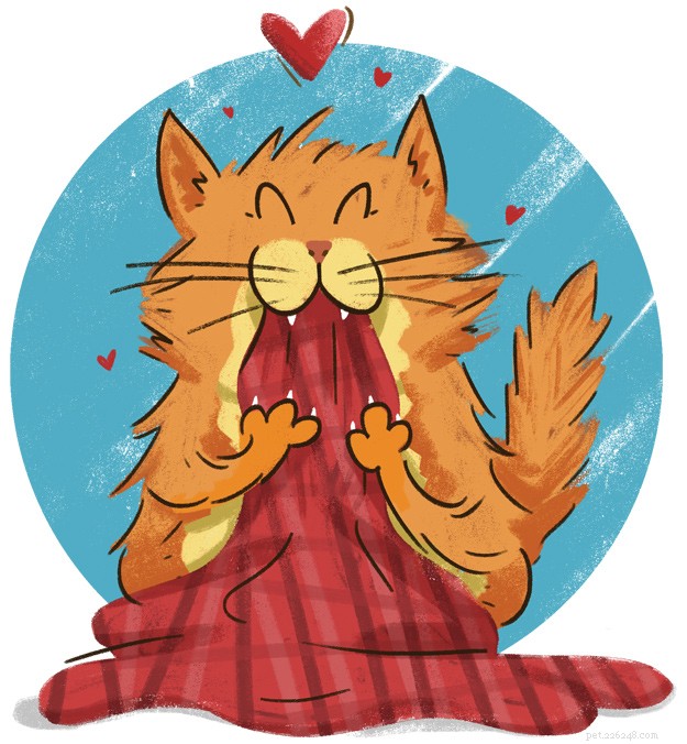 Understanding Unusual Cat Behaviours: What Your Feline s Actions Reveal