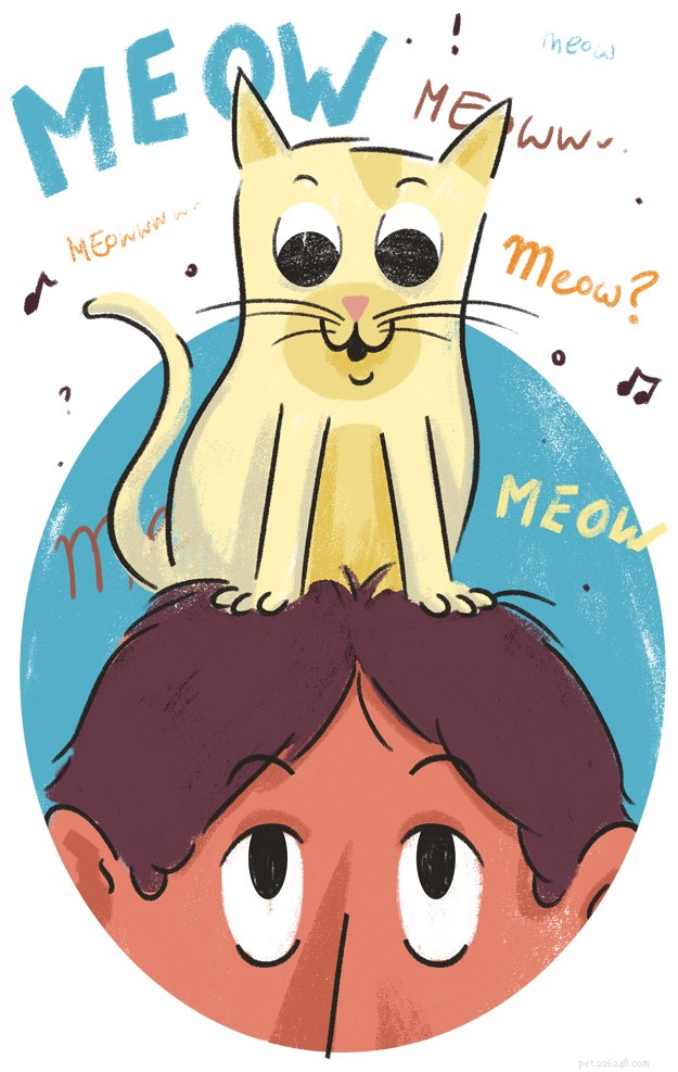 Understanding Unusual Cat Behaviours: What Your Feline s Actions Reveal