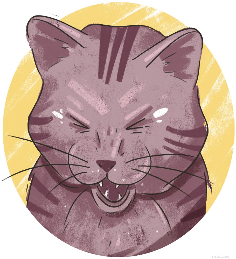 Understanding Unusual Cat Behaviours: What Your Feline s Actions Reveal