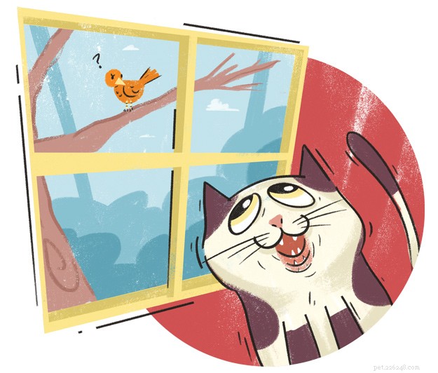Understanding Unusual Cat Behaviours: What Your Feline s Actions Reveal