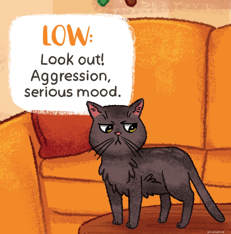Decode Your Cat s Tail Language: What It Really Means