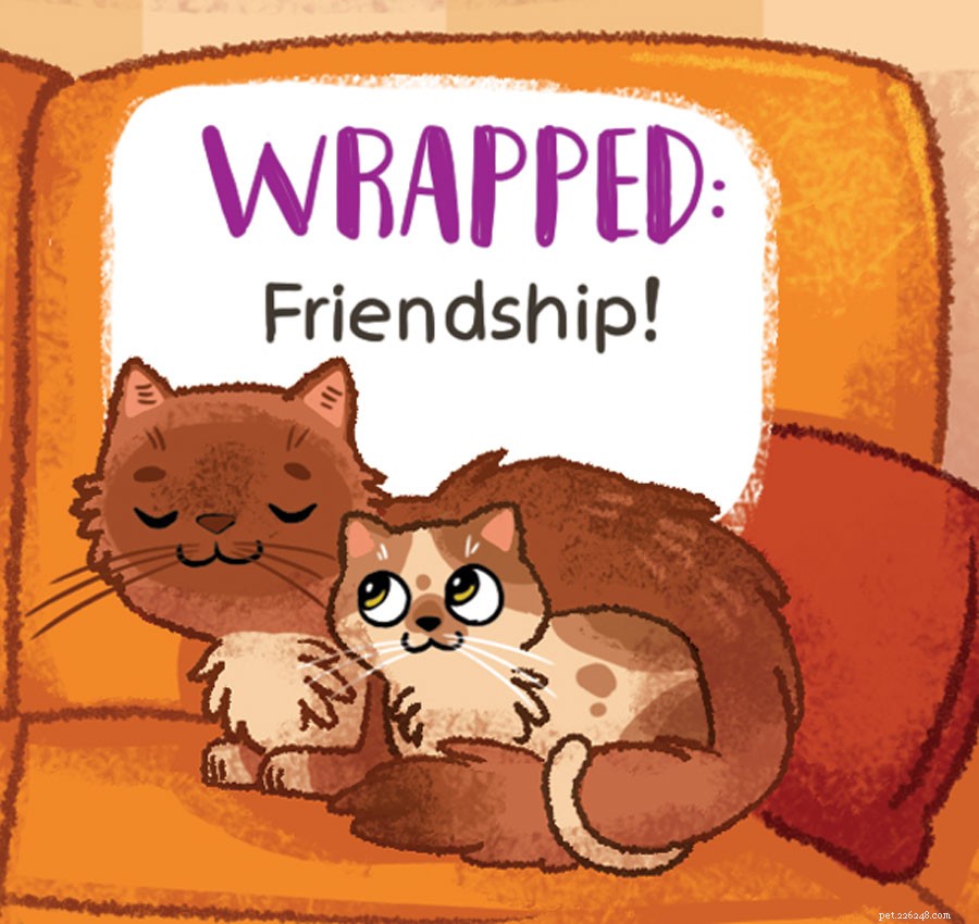 Decode Your Cat s Tail Language: What It Really Means