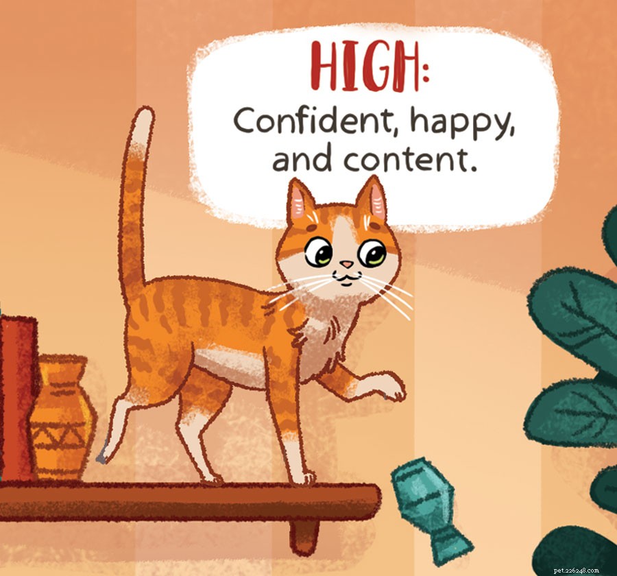 Decode Your Cat s Tail Language: What It Really Means