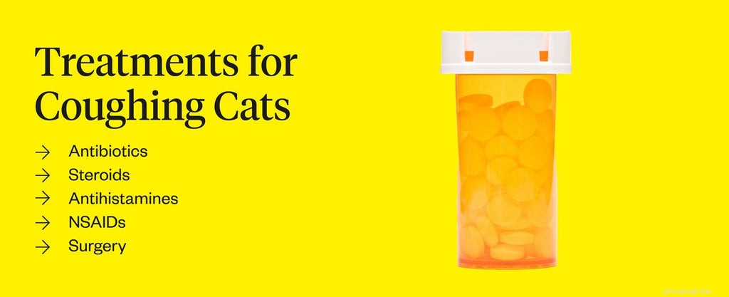 Understanding Cat Coughing: Causes, Symptoms & Quick Relief Tips