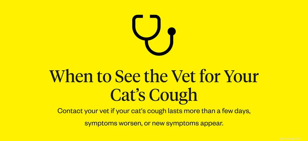 Understanding Cat Coughing: Causes, Symptoms & Quick Relief Tips